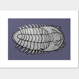 Trilobite Posters and Art